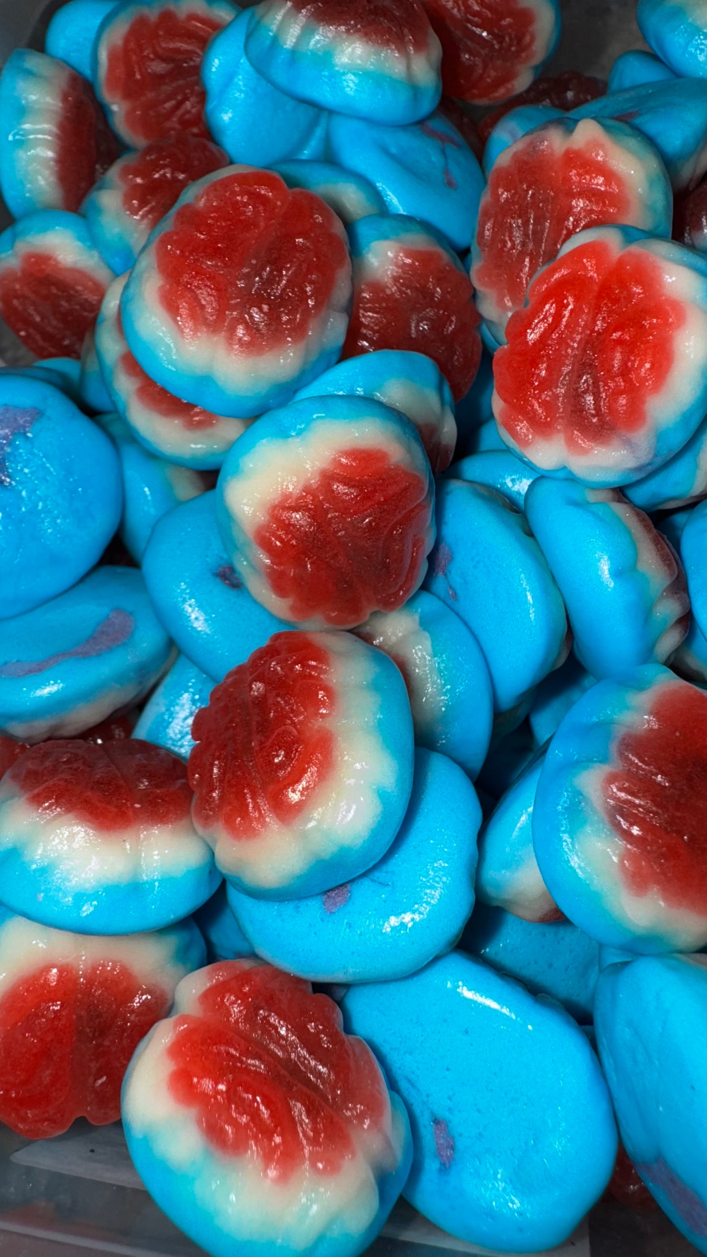 Cerveaux Lisse Fraise-Framboise Royal's 100g