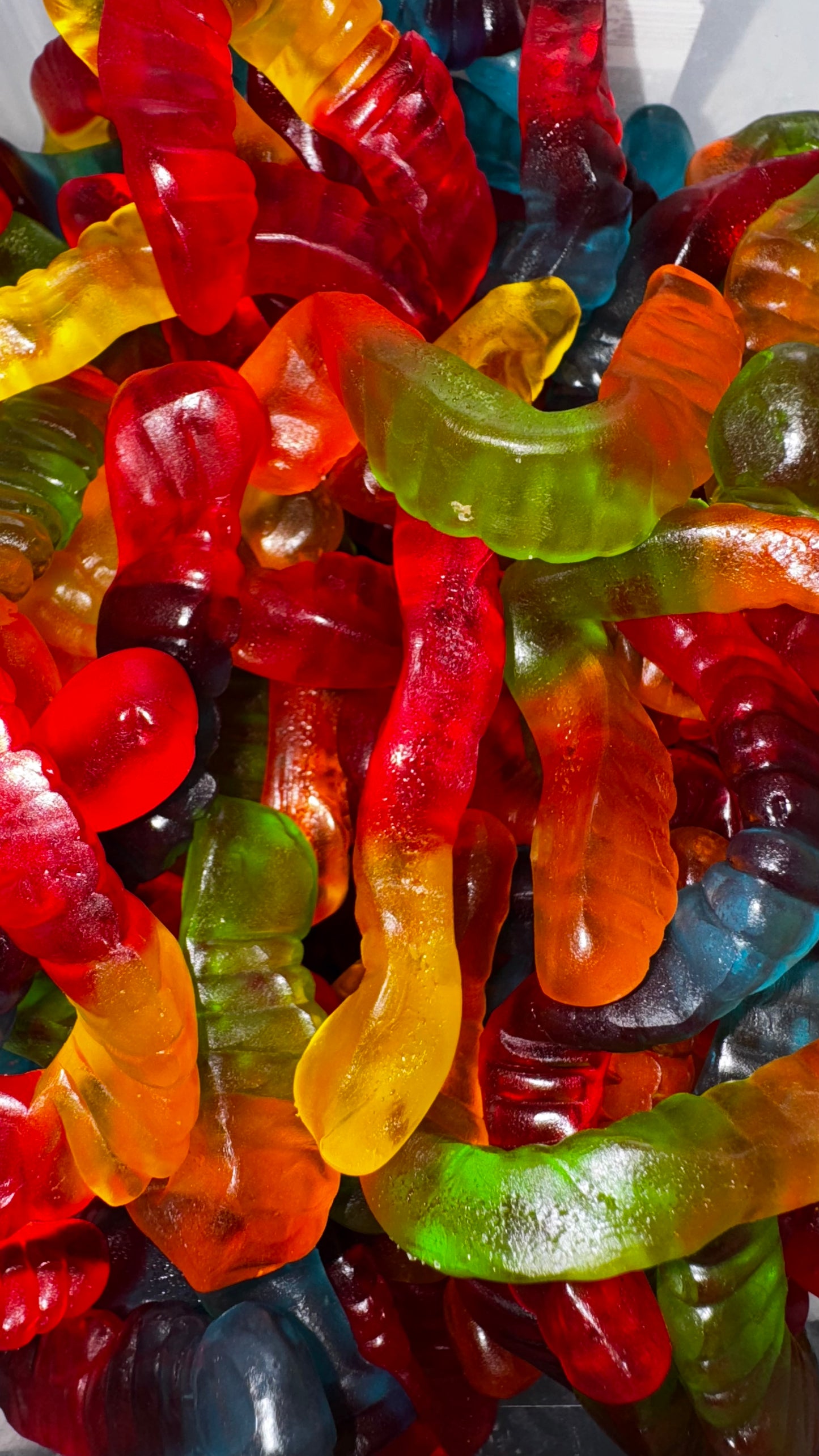 Vers multicolore Lisse Royal's 50g