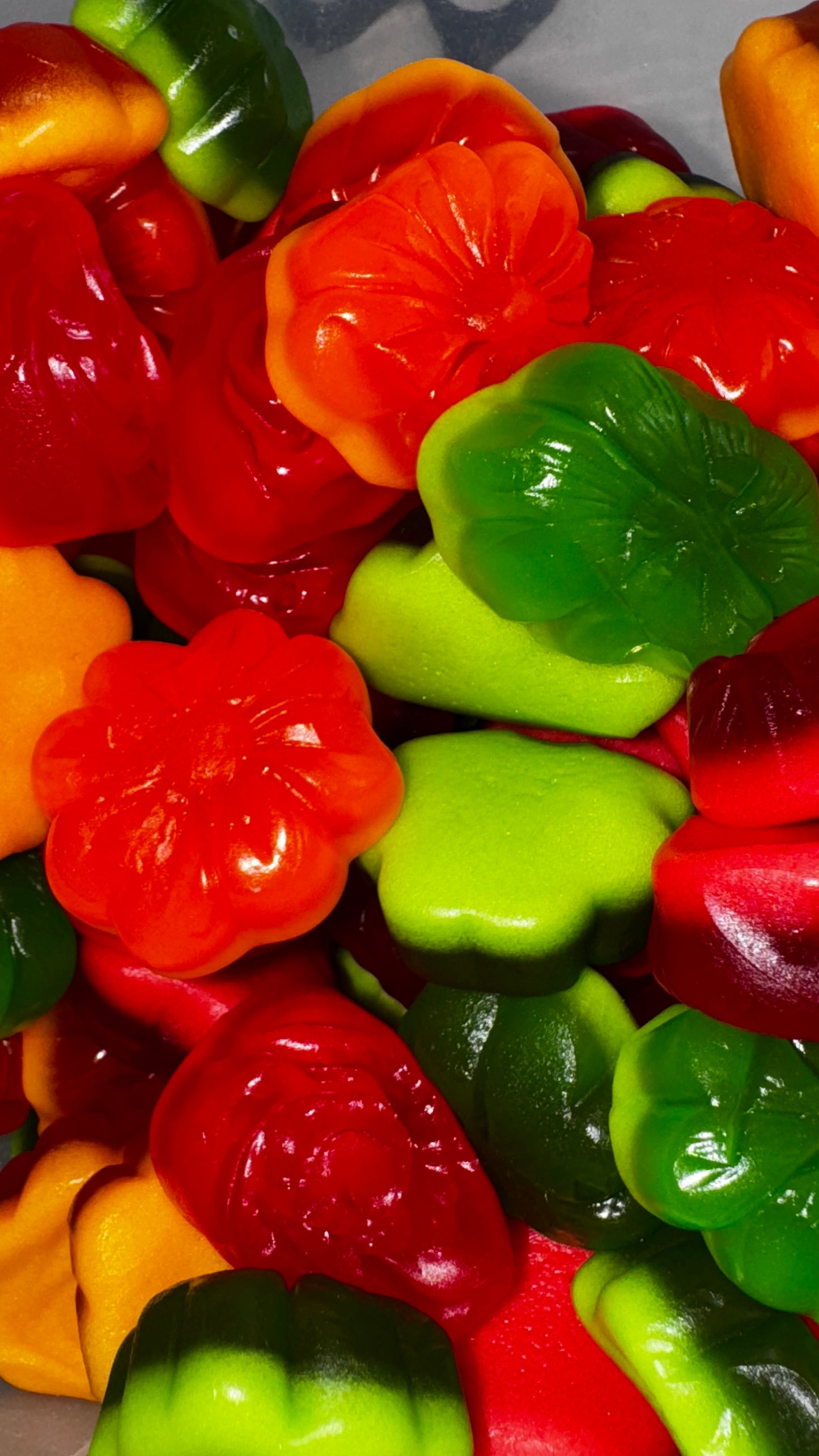 Fleurs Multicolore Lisse Royal's 100g