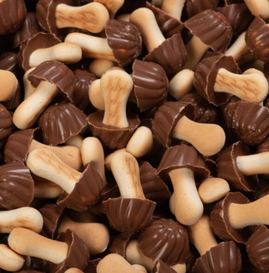 Champignons chocolat lait 10pcs