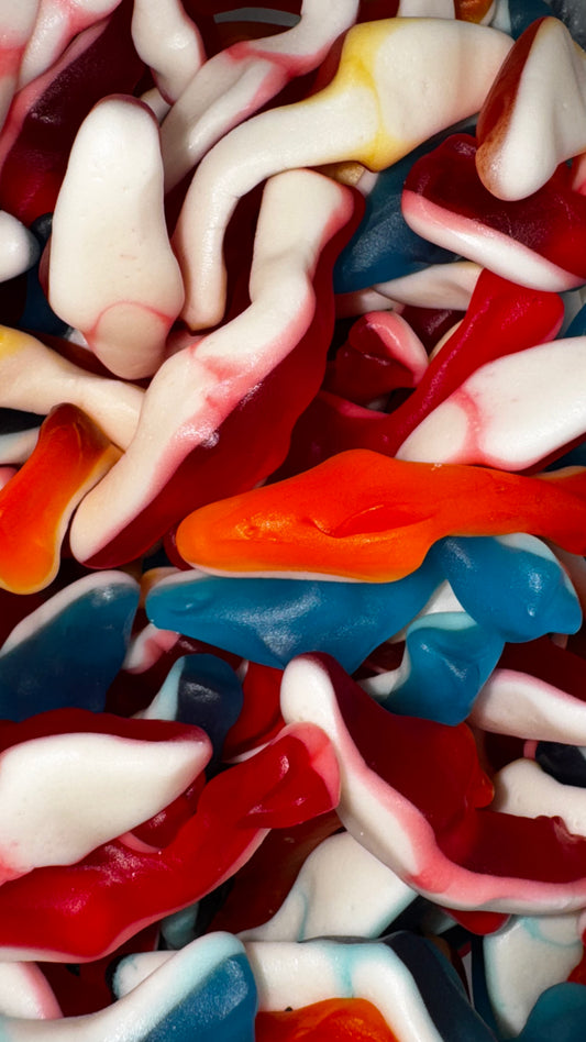 Requin Multicolore Lisse Royal's 100g