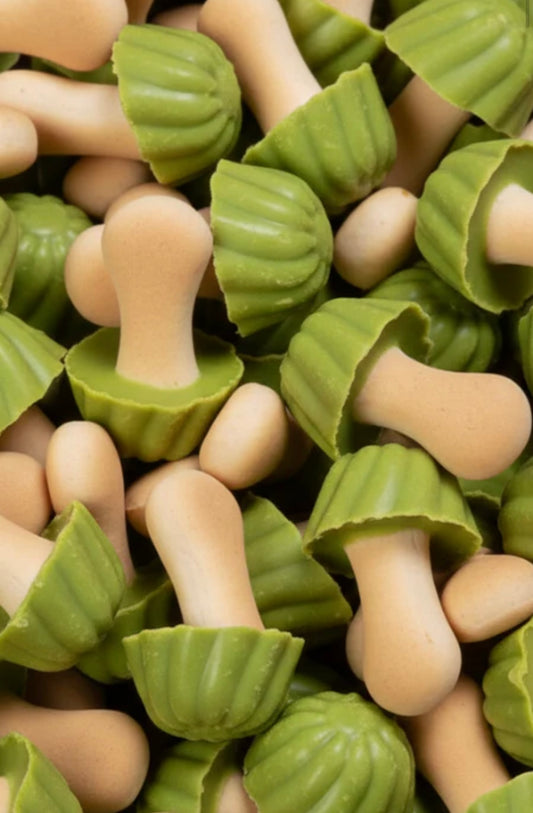 Champignons chocolat pistache 10pcs