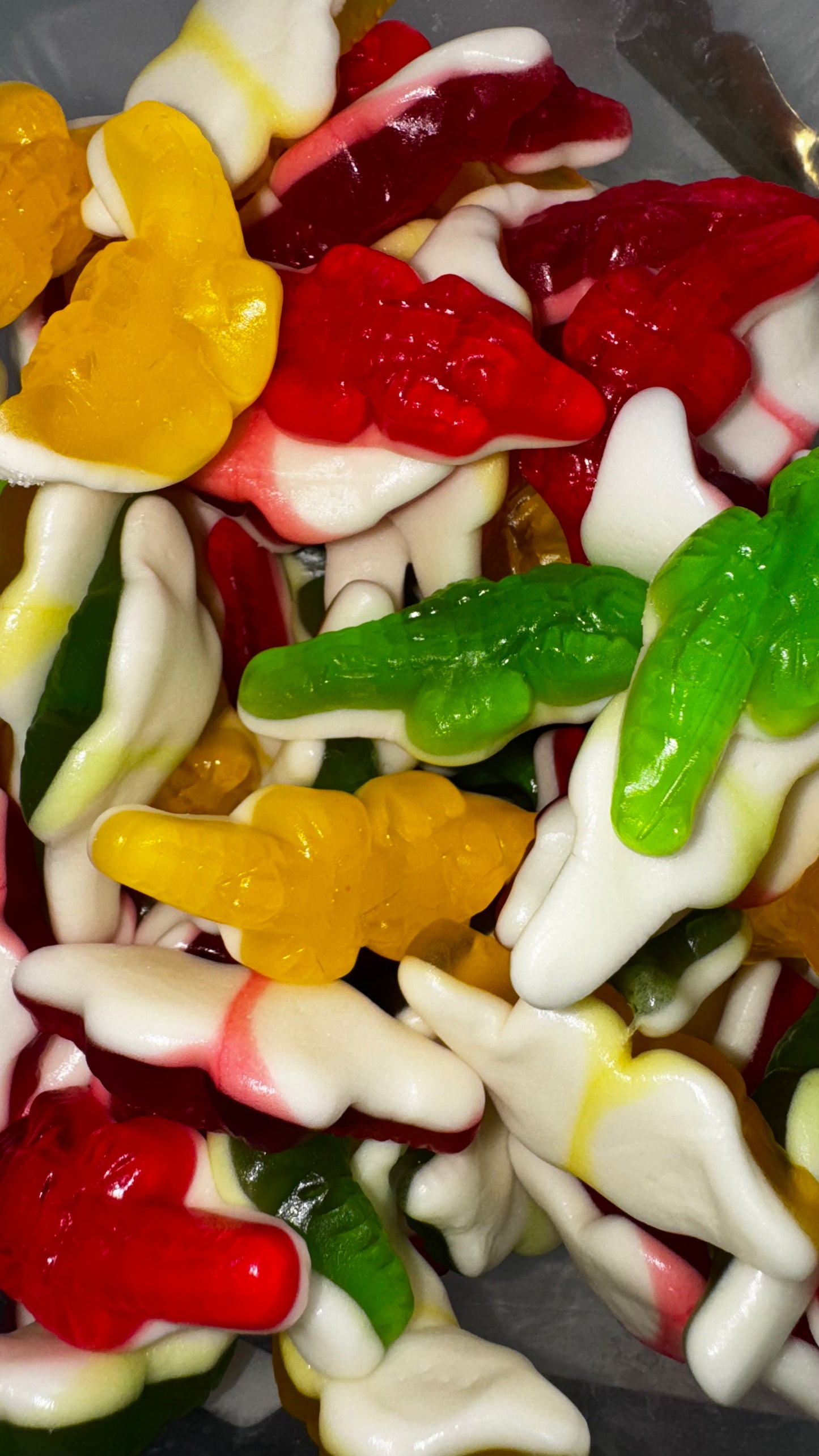 Crocodiles Multicolore Lisse Royal's 100g